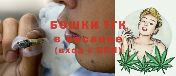 стаф Липки