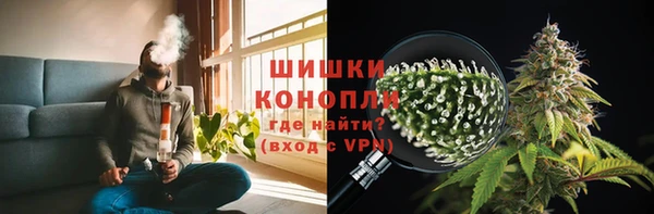 тгк Лиски