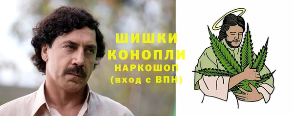 стаф Липки