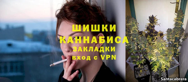 стаф Липки